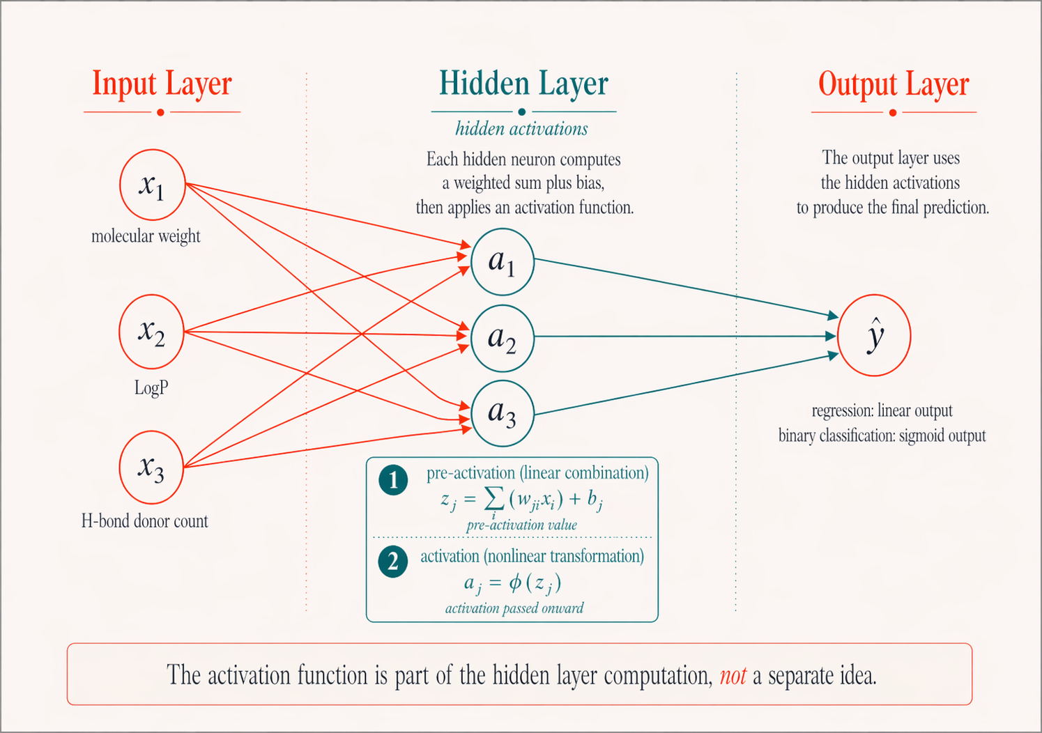 Network anatomy diagram